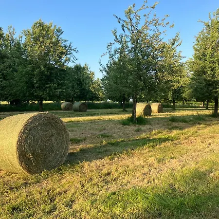 Bed & Breakfast La Premoudiere *